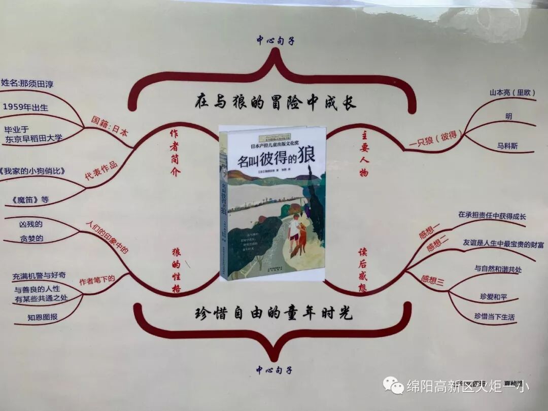 【火一读书节】涌动的思维在阅读中开花 ——师生读书卡，思维导图设计大赛