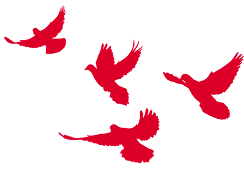 【火一动态】“绵阳印”logo娃亮相咯！ ——火炬一小师生参加绵阳市庆祝“新中国成立新中国成立70周年”大型群众歌咏比赛