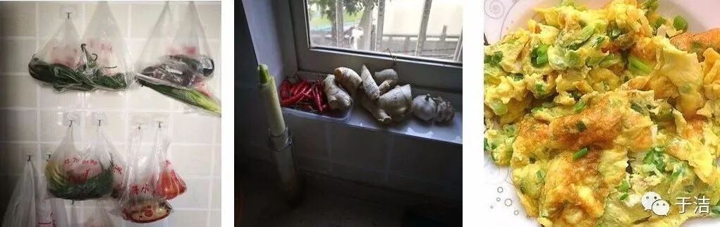【火一动态】非常时期,写给老师、学生的学习和生活指导攻略,请收好!