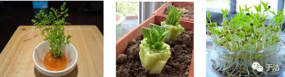 【火一动态】非常时期,写给老师、学生的学习和生活指导攻略,请收好!