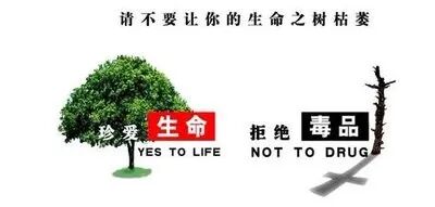 【火一动态】关于禁毒，钟南山爷爷有话说