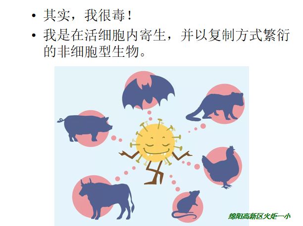 【火一动态】那些我们一起做主播的日子【三】