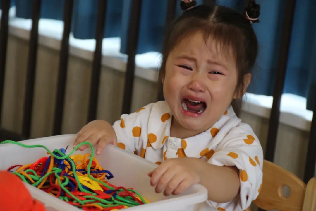 【一幼动态】为爱启程┃┃小班萌娃周记