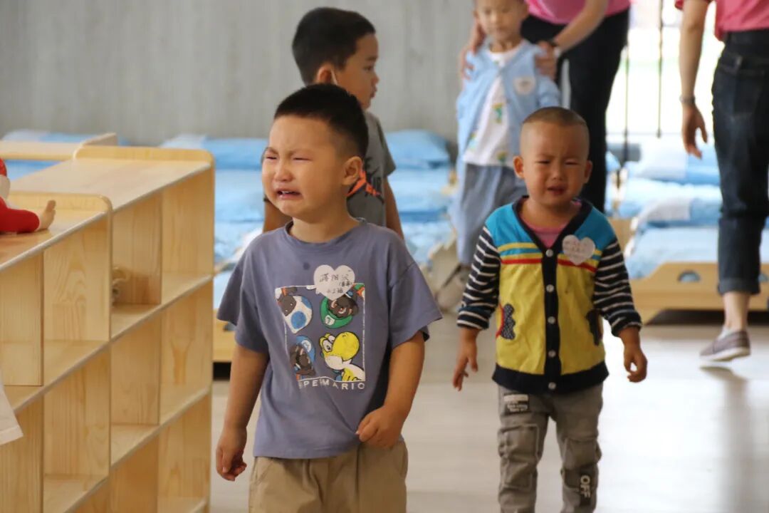 【一幼动态】为爱启程┃┃小班萌娃周记