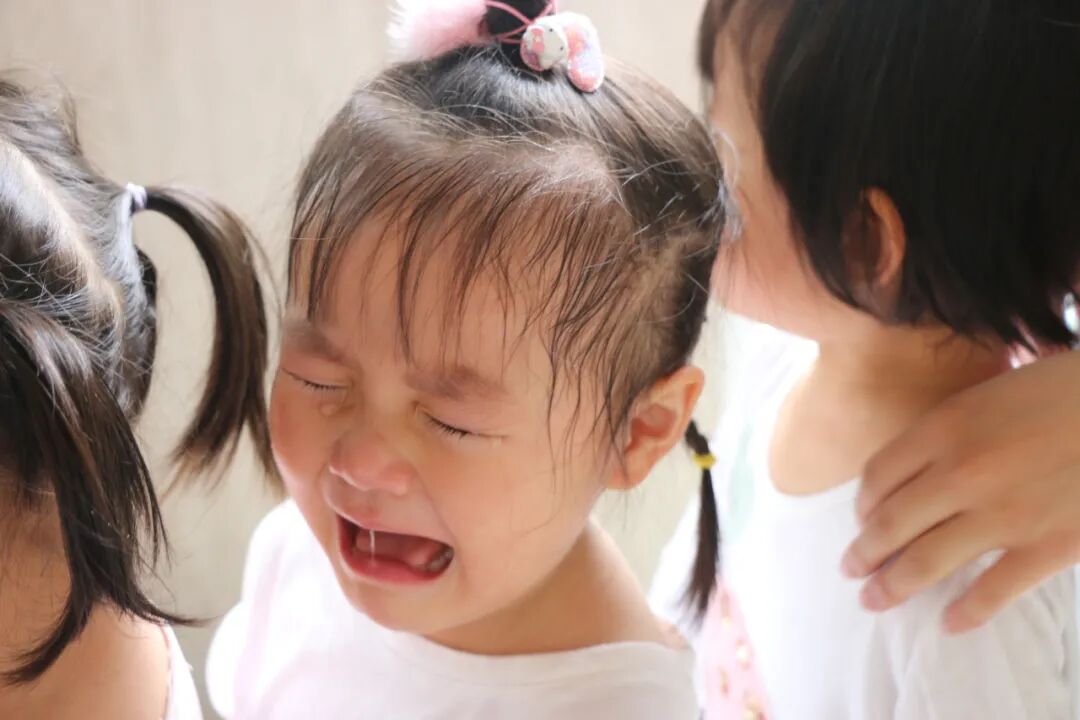 【一幼动态】为爱启程┃┃小班萌娃周记