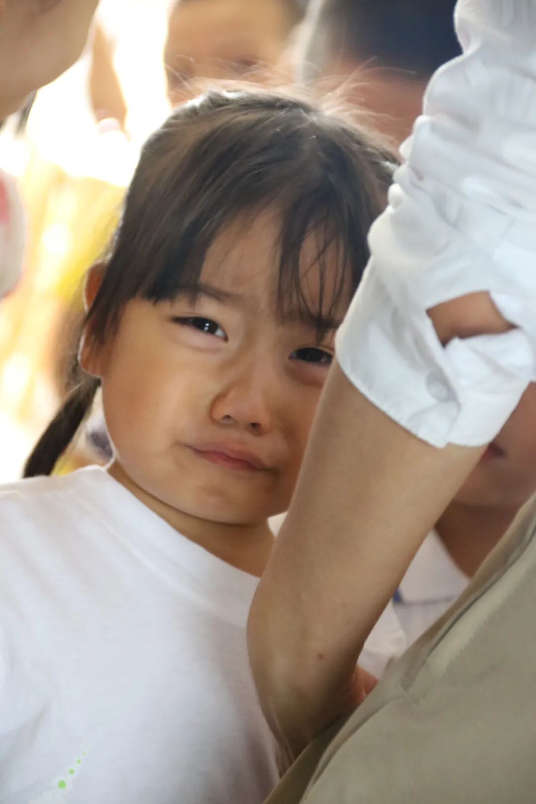 【一幼动态】为爱启程┃┃小班萌娃周记