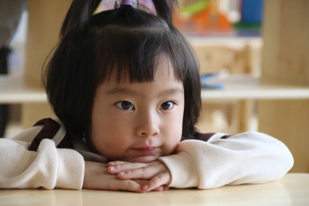 【一幼动态】为爱启程┃┃小班萌娃周记