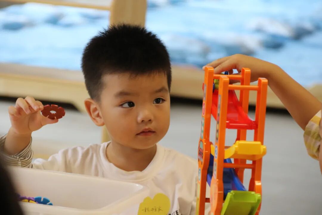【一幼动态】为爱启程┃┃小班萌娃周记