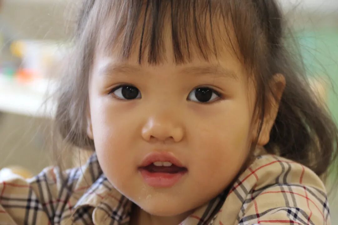 【一幼动态】为爱启程┃┃小班萌娃周记