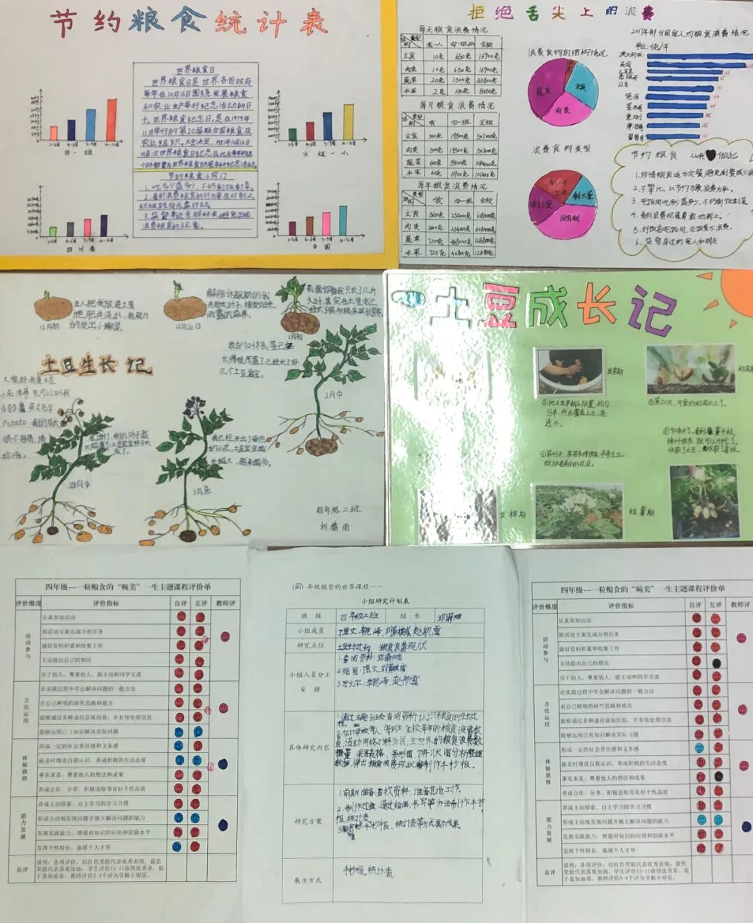 【火一竞赛节】一粒粮食的“碗美”一生| 四年级TRI课程展示