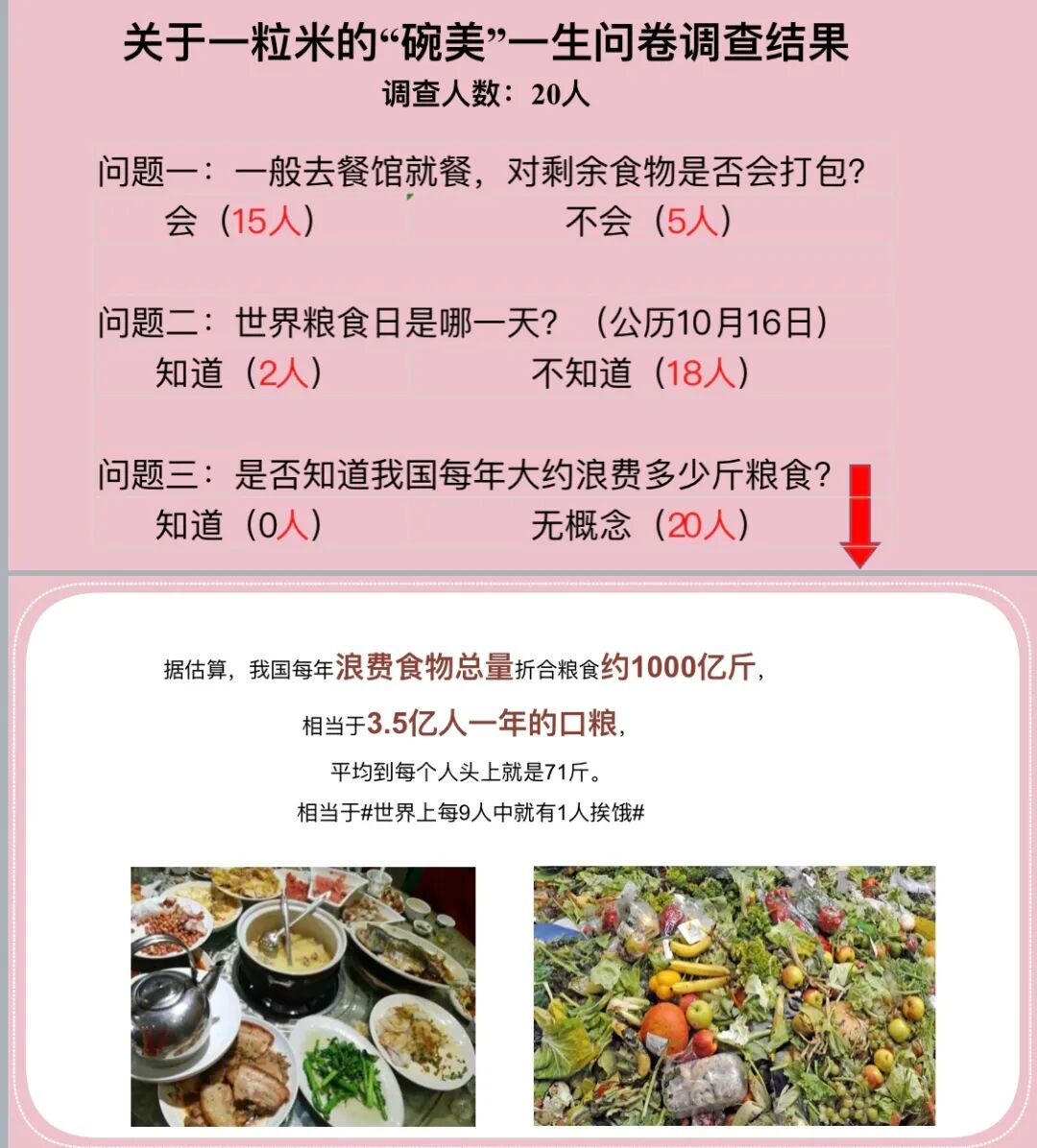 【火一竞赛节】一粒粮食的“碗美”一生| 四年级TRI课程展示