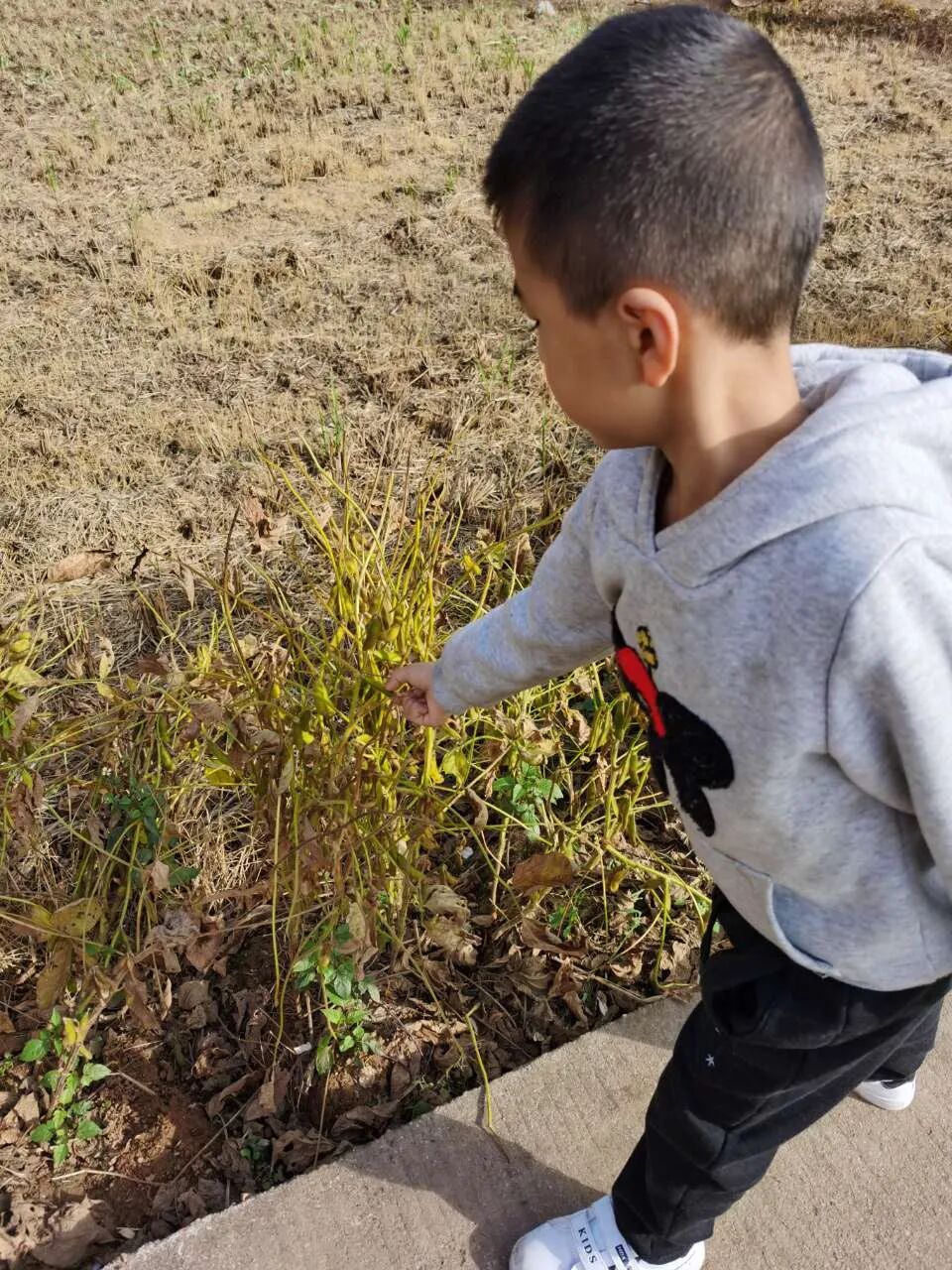 【火一竞赛节】粮食宝宝,我们用行动爱你丨一年级TRI课程展示