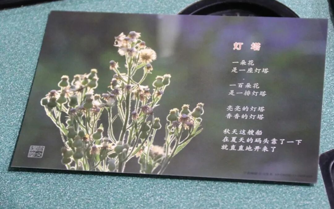 【火一动态】童诗润童心  作家进校园 |火炬一小语文低中段读写结合专项培训交流研讨活动