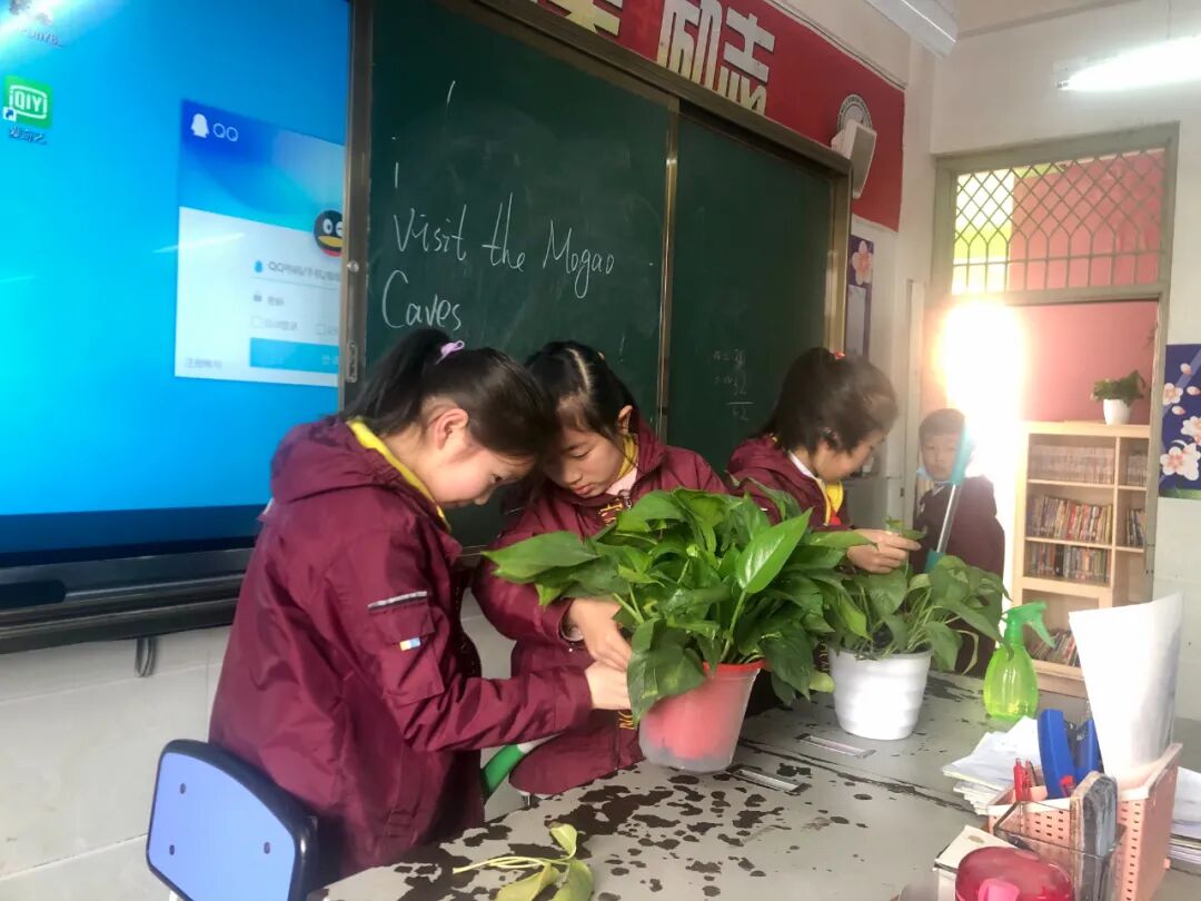 【火一班主任节4】今天我是班主任|第八届班主任节之四年级组学生志愿者体验篇