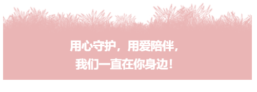 【一幼动态】“研”途有你，一路成长