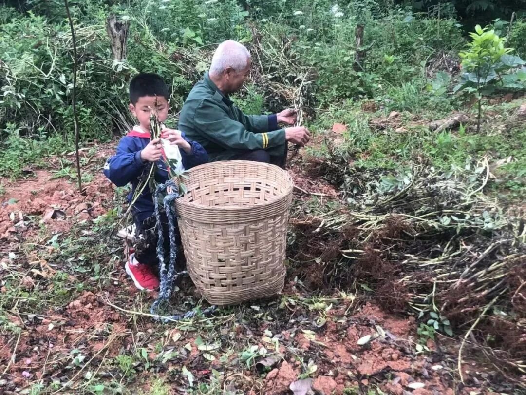 火一·献礼建党百年|以“五一”之名，致敬最美的您——“学党史  敬劳模”劳动实践活动