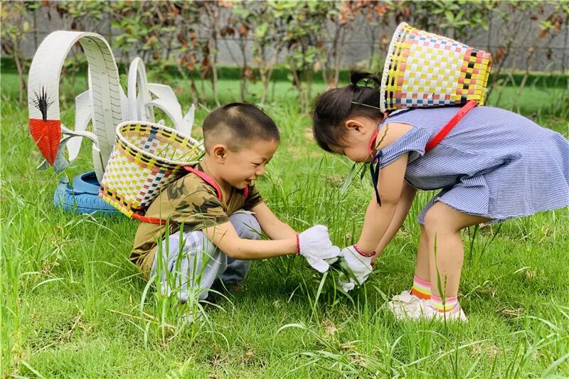 【一幼动态】高新区火炬第一幼儿园2021年秋季招生公告