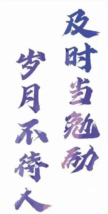 火一·献礼建党百年|"百年风华  青春向党  "及月社和海户外拓展活动