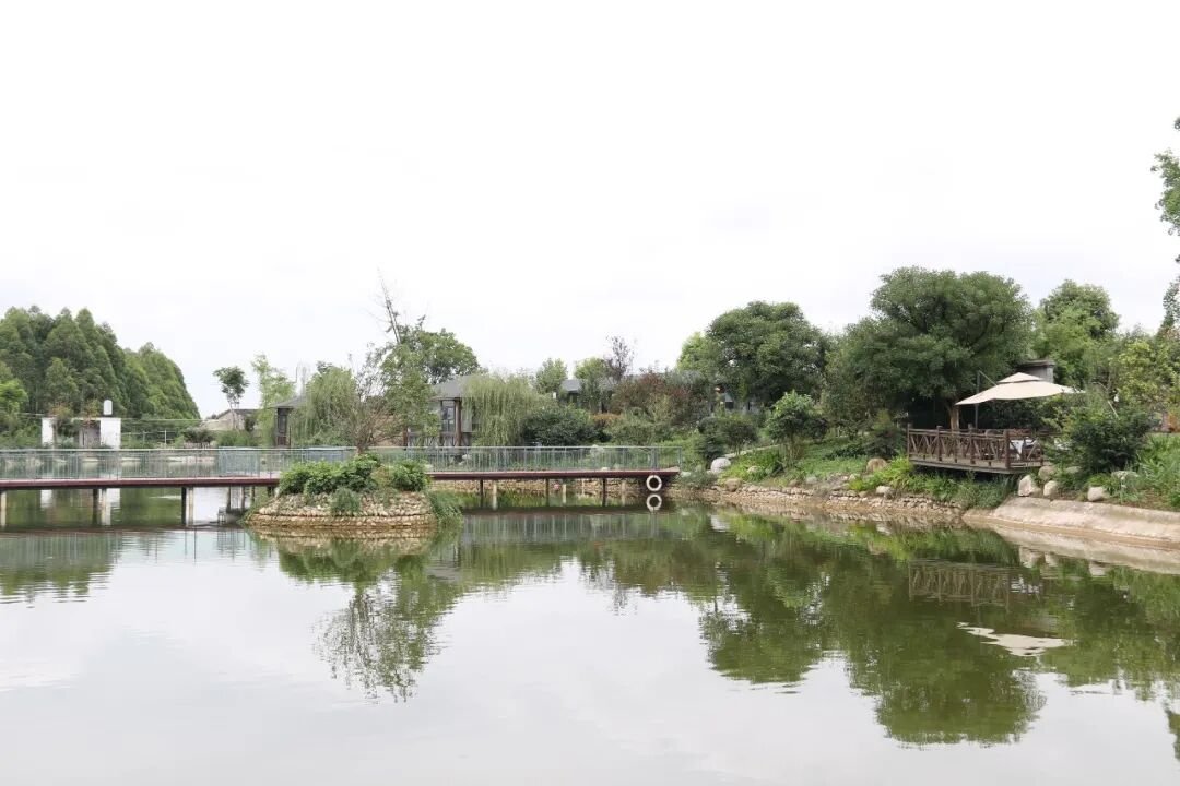 【火一动态】“青”力而为 点亮教育新智慧——及月社思享会