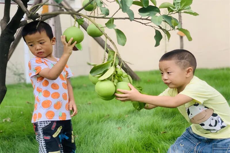 【一幼动态】从“心”开始,共筑成长|火炬一幼新学期开学记