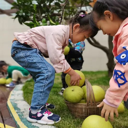【一幼动态】秋日,与你“柚”戏|火炬一幼第一届“柚子节”活动