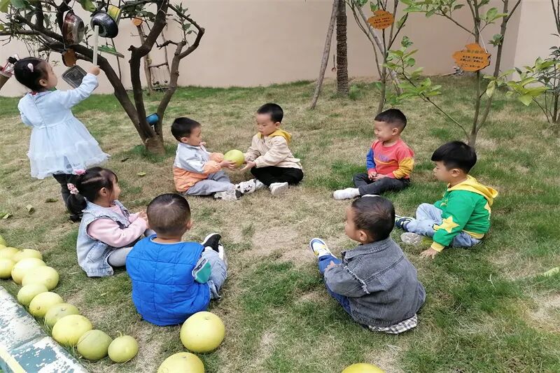 【一幼动态】秋日,与你“柚”戏|火炬一幼第一届“柚子节”活动
