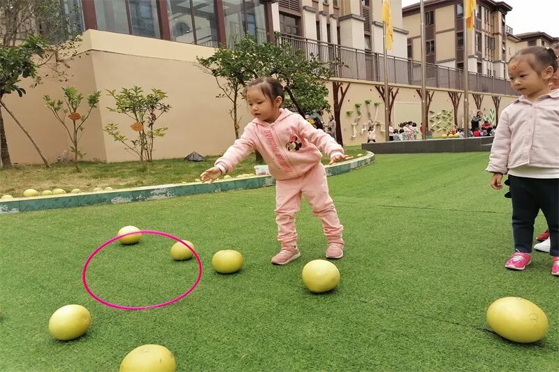 【一幼动态】秋日,与你“柚”戏|火炬一幼第一届“柚子节”活动