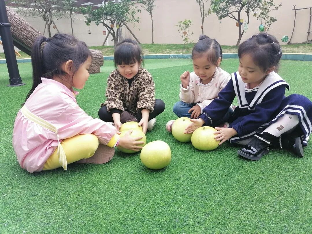 【一幼动态】秋日,与你“柚”戏|火炬一幼第一届“柚子节”活动