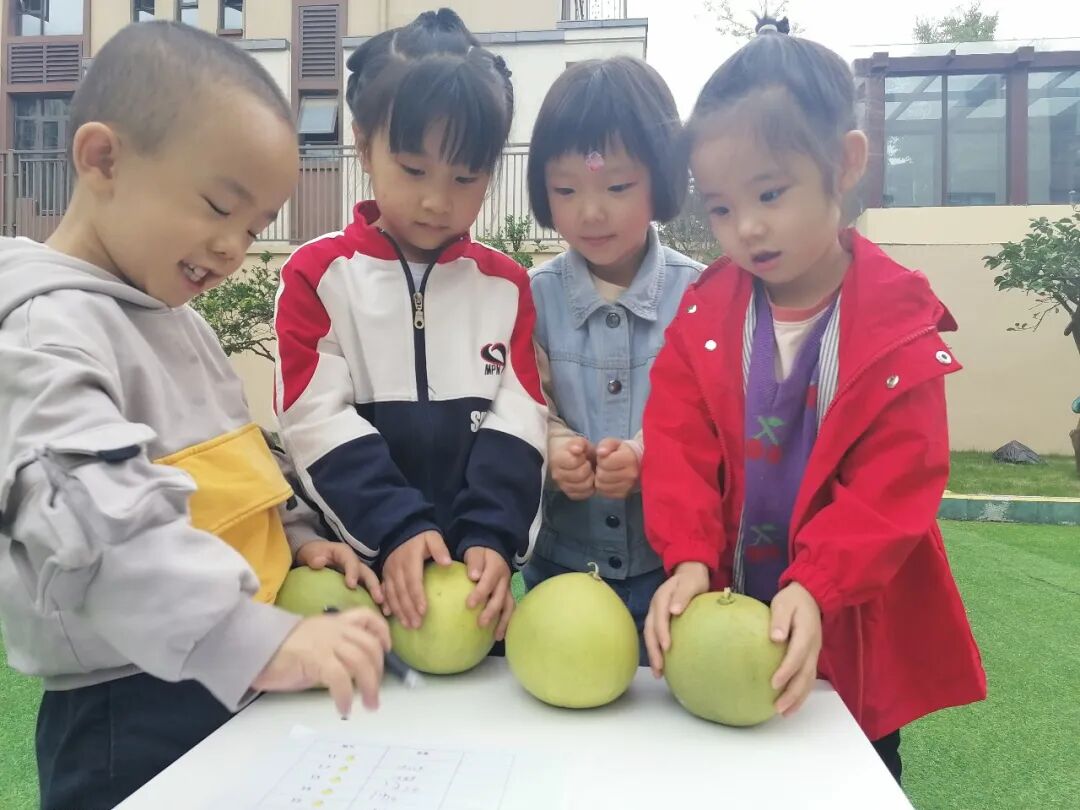 【一幼动态】秋日,与你“柚”戏|火炬一幼第一届“柚子节”活动