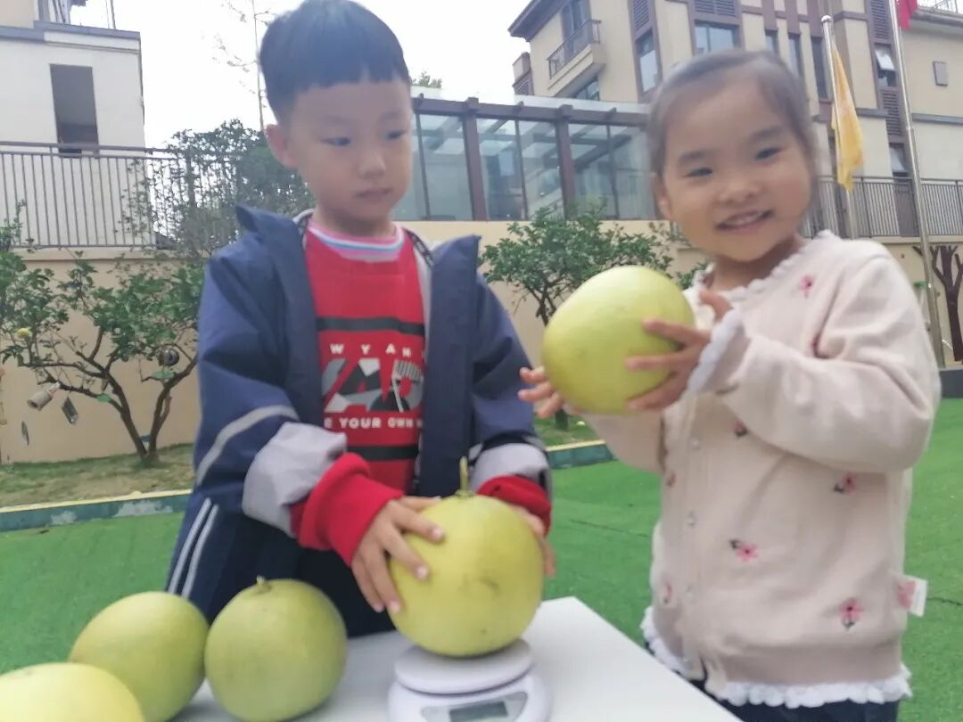 【一幼动态】秋日,与你“柚”戏|火炬一幼第一届“柚子节”活动
