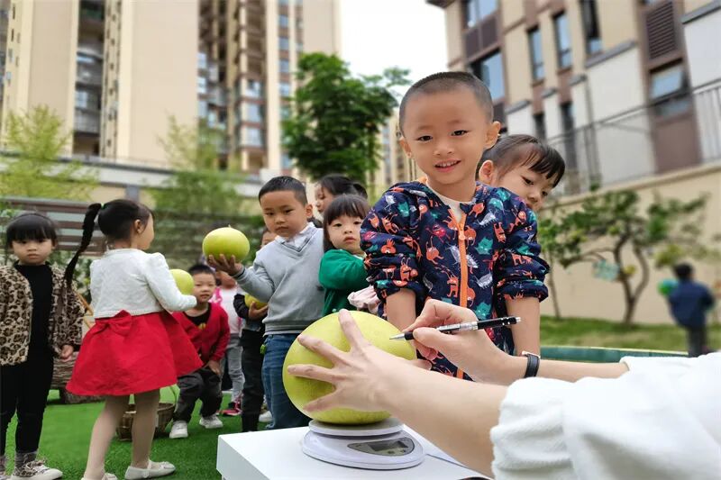 【一幼动态】秋日,与你“柚”戏|火炬一幼第一届“柚子节”活动