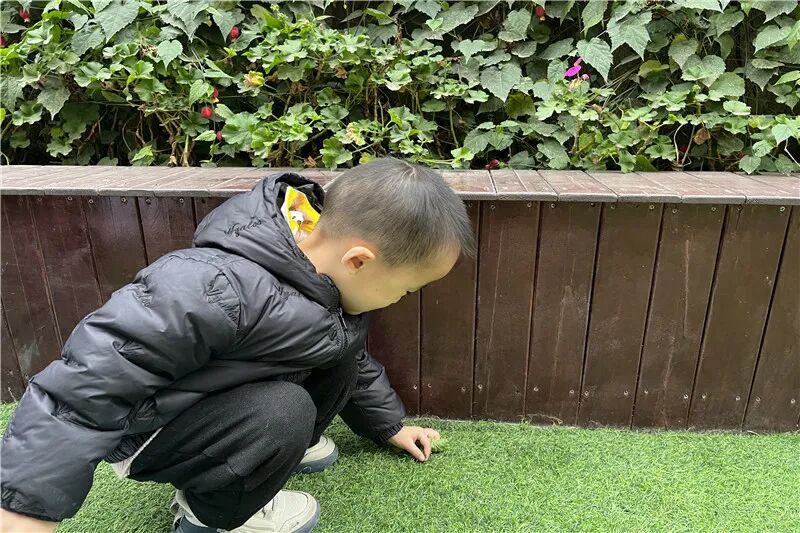 【一幼动态】“圾”中生智| 当垃圾分类遇上一幼娃