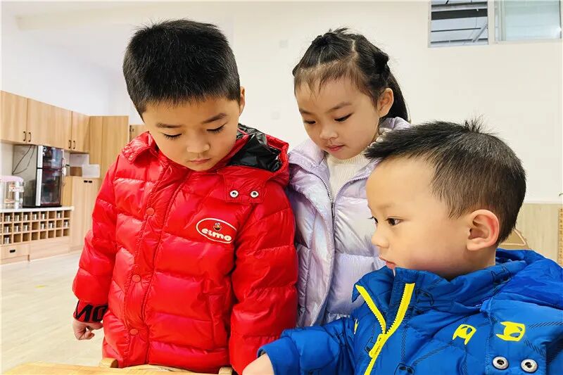【一幼动态】“圾”中生智| 当垃圾分类遇上一幼娃