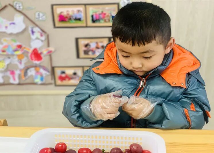 【一幼动态】玩转中国年系列活动①|品年味,享年趣
