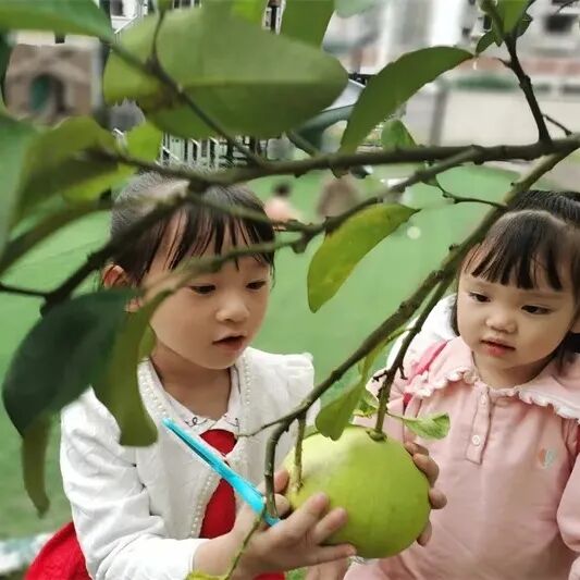 火炬一小2021年校园十大新闻 | 足迹·幸福