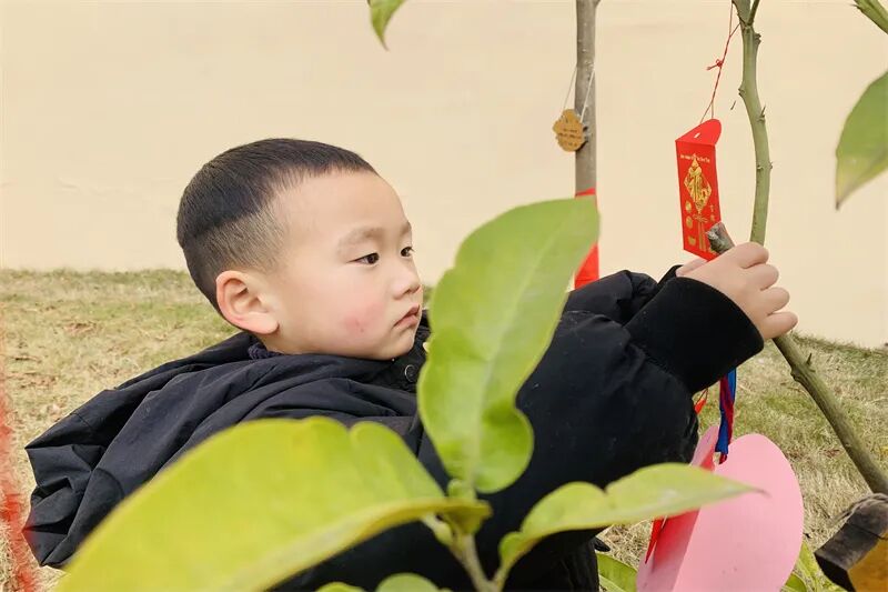 【一幼动态】玩转中国年系列活动②|一幼福娃闹新春