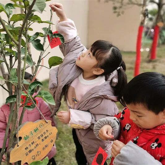 【一幼动态】玩转中国年系列活动②|一幼福娃闹新春