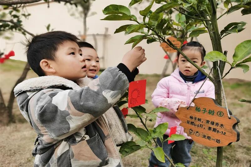 【一幼动态】玩转中国年系列活动②|一幼福娃闹新春