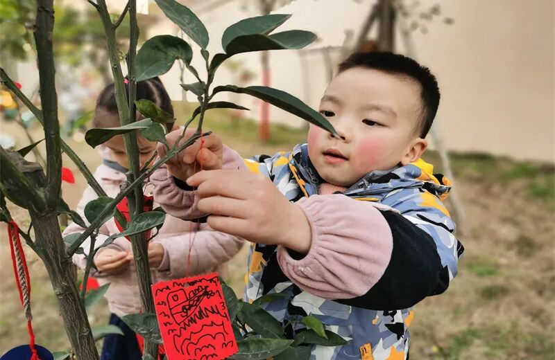 【一幼动态】玩转中国年系列活动②|一幼福娃闹新春