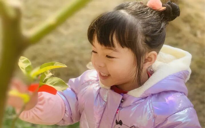 【一幼动态】玩转中国年系列活动②|一幼福娃闹新春