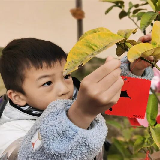 【一幼动态】玩转中国年系列活动②|一幼福娃闹新春