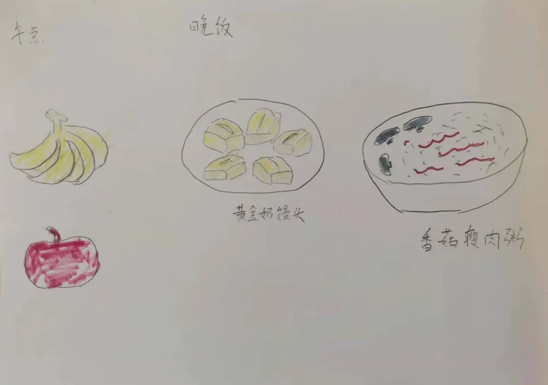 一幼动态|日食记||我是小小播报员