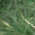 火一动态|最好的我们，最美的启程||火炬一小2022届毕业典礼