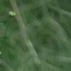 火一动态|笔端生芳华  情满中秋月|| 火炬一小教师节/中秋节“双节”庆祝活动