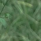 火一动态|笔端生芳华  情满中秋月|| 火炬一小教师节/中秋节“双节”庆祝活动