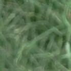 火一动态|笔端生芳华  情满中秋月|| 火炬一小教师节/中秋节“双节”庆祝活动