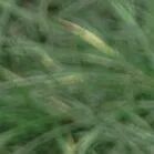 火一动态|笔端生芳华  情满中秋月|| 火炬一小教师节/中秋节“双节”庆祝活动