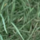 火一动态|笔端生芳华  情满中秋月|| 火炬一小教师节/中秋节“双节”庆祝活动