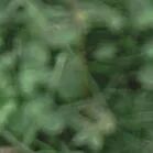 火一动态|笔端生芳华  情满中秋月|| 火炬一小教师节/中秋节“双节”庆祝活动