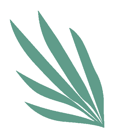火一开学季|2022秋火炬一小开学第一课